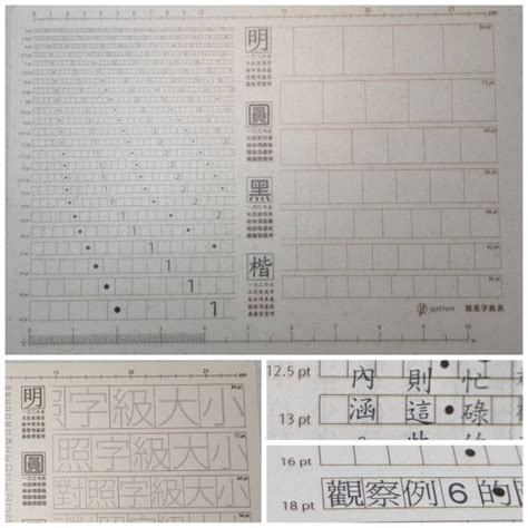 駢枝音|視覺障礙輔助科技筆記本